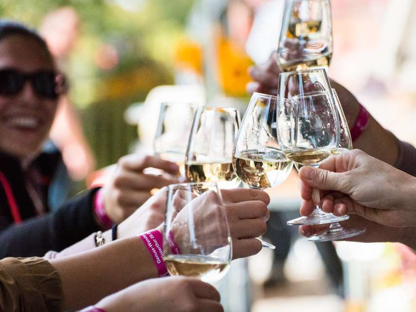 Zum ersten Mal auch im Frühling wandern & geniessen:  3. Genuss-Wanderung Winterthur im Zürcher Weinland