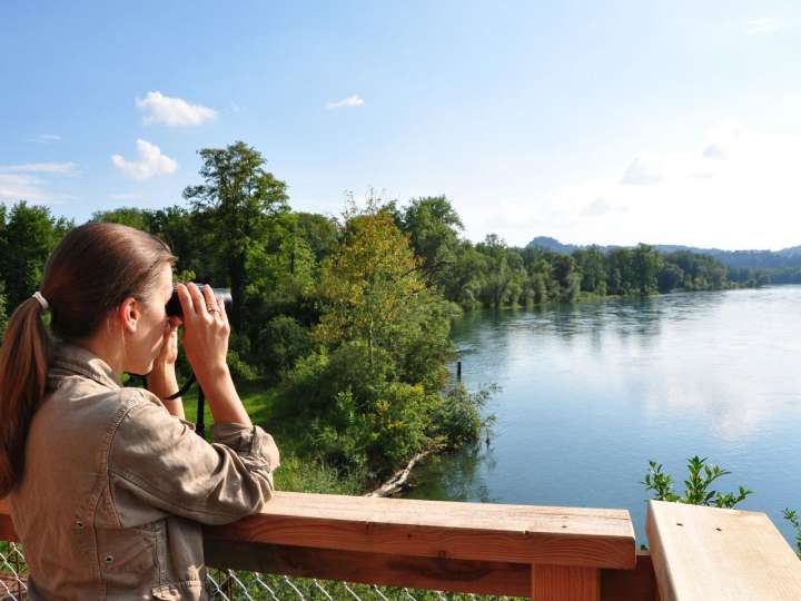 Naturzentrum Thurauen