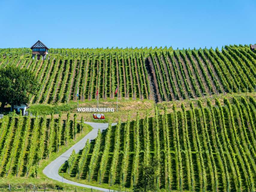 Die Wein-Wanderwege des Zürcher Weinlandes Die Wein-Wanderwege des Zürcher Weinlandes
