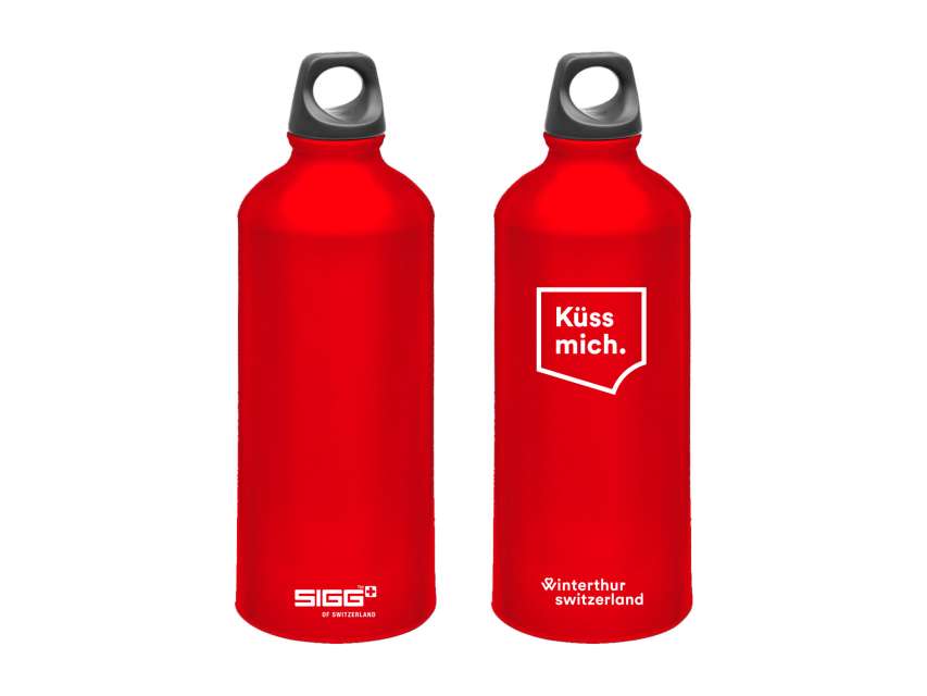 Sigg Flasche 0,6l (in drei Farben)