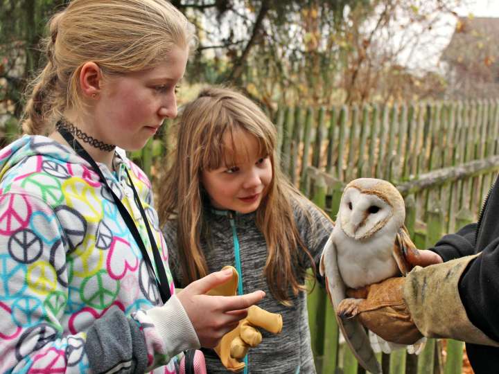 Greifvogelstation Berg am Irchel
