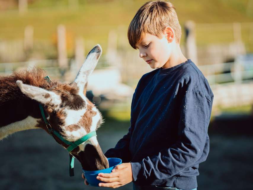 Ausflüge in die Region