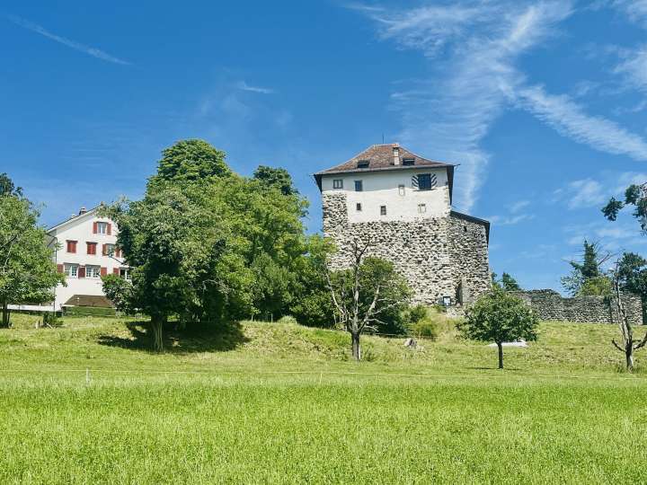 Schloss Mörsburg