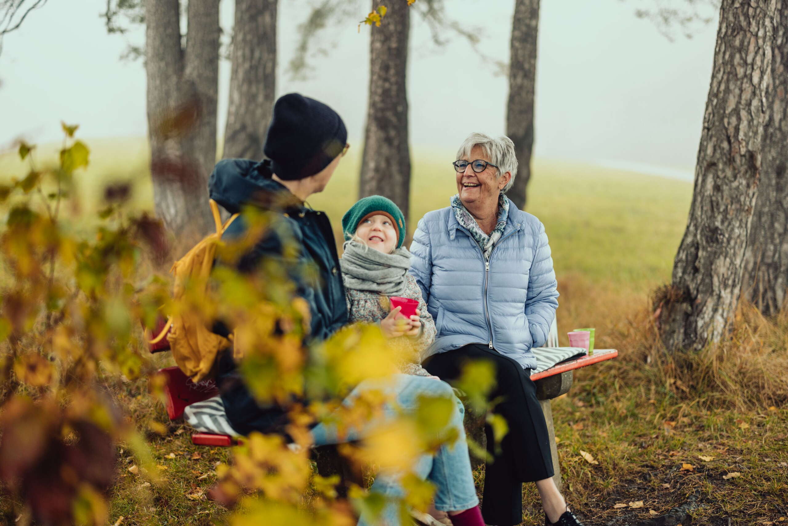 Nebel, Kinder, Sitzbank, Kind, Wald, Grosseltern, Familienausflug, Familien, Eltern