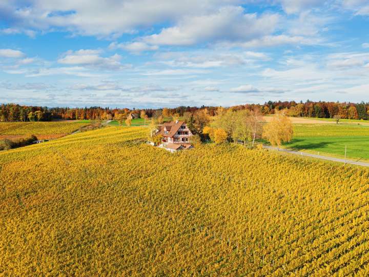 Weinwanderwege im Zürcher Weinland