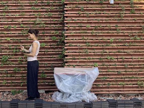 Forschende präsentieren begrünte Ziegelfassade mit Kühlwirkung