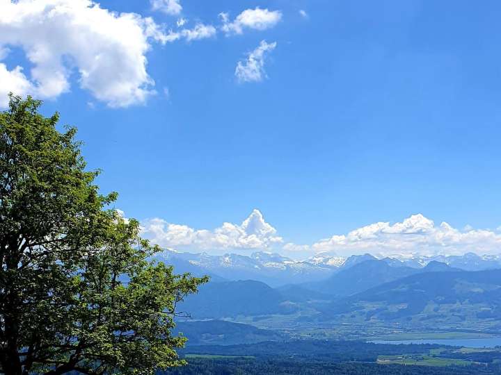 Wanderung auf den Bachtel