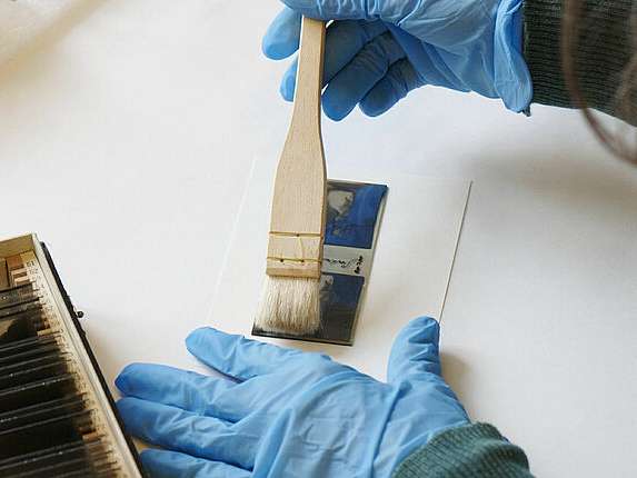 Fotostiftung Schweiz sichert und digitalisiert 160 Fotoarchive