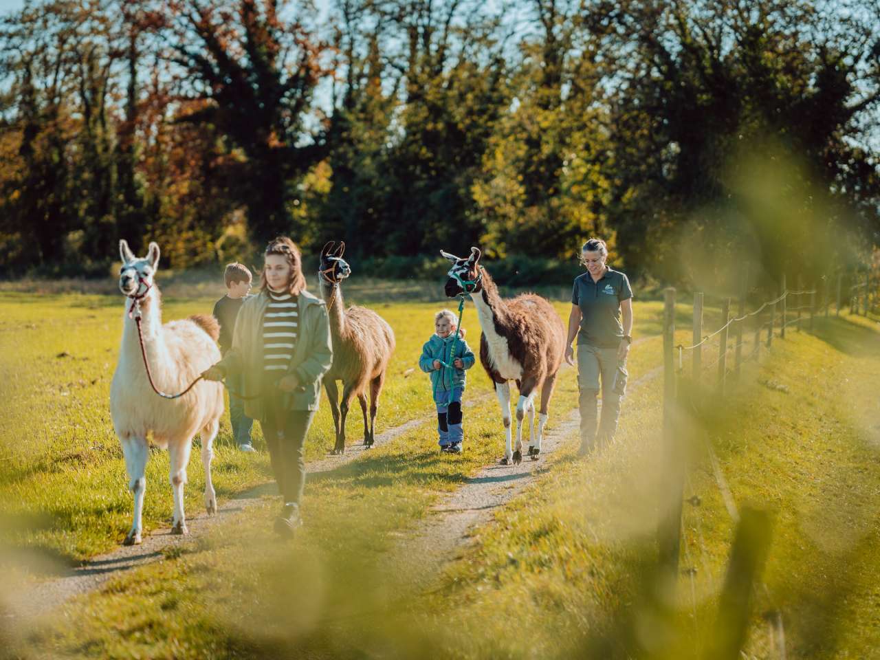 Aktivitäten für Familien