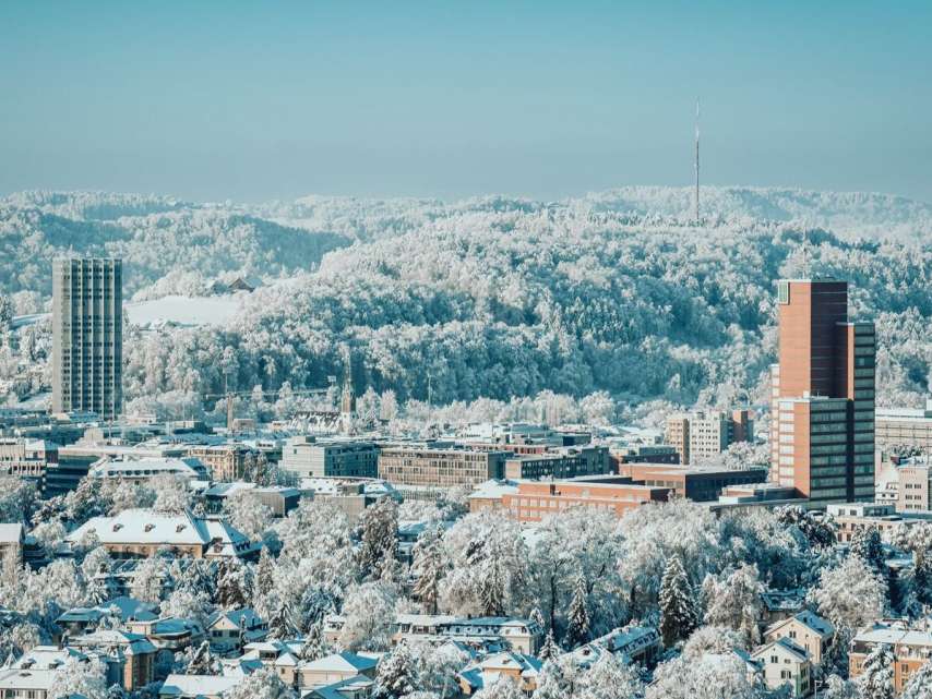 Unternehmensbefragung 2025: Standortzufriedenheit bleibt auf hohem Niveau