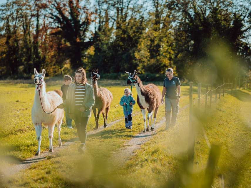 5 coole Ausflüge für Familien in Winterthur 5 coole Ausflüge für Familien in Winterthur