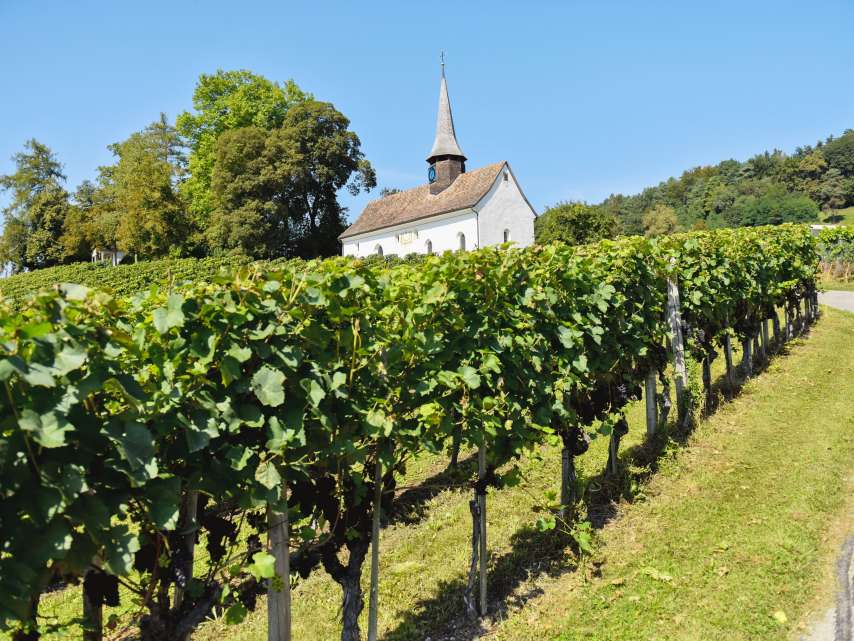 5 Weinproduzenten aus der Region Winterthur 5 Weinproduzenten aus der Region Winterthur