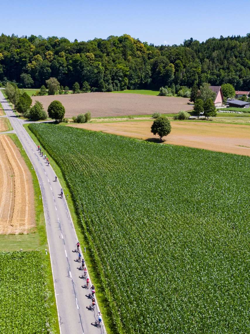 Erlebe die RheinWelten – die E-Bike Route zwischen Genuss, Erlebnis und Natur